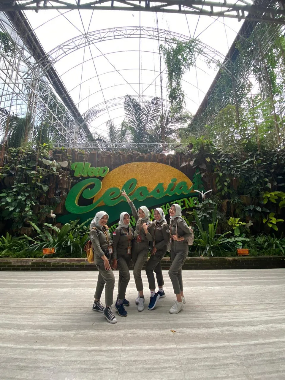Royal Pariwisata - Celosia